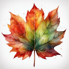 Wall Mural - isolated fall autumn leaf watercolor painting