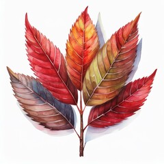 Wall Mural - beautiful colorful fall autumn watercolor leaf