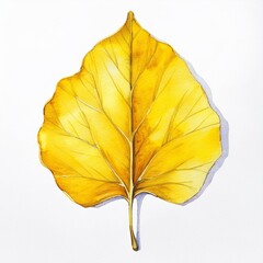 Wall Mural - isolated colorful fall autumn leaf watercolor painting