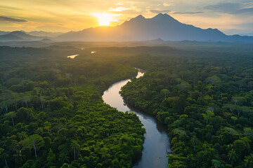 Sticker - Serene River Winding Through Lush Rainforest at Sunset.