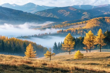 Wall Mural - a beautiful mountain landscape with trees and a foggy mist. the trees are yellow and the sky is blue