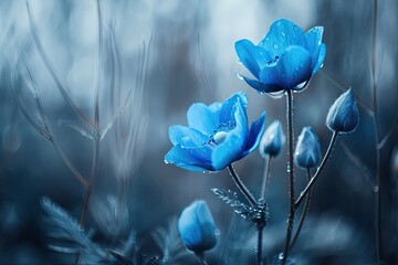 Wall Mural - a blue flower with a few drops of water on it. the flower is surrounded by green leaves and branches