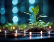 © ritthikul - Sprouting Future: Close-Up of Tech and Nature