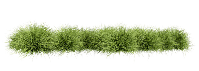 Wall Mural - Meadow grass row prairie cutout transparent background 3d rendering 