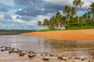 Sticker - Tropical beach