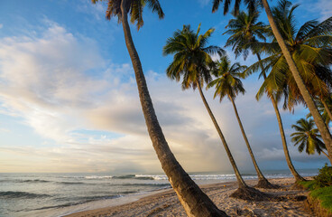 Sticker - Tropical beach