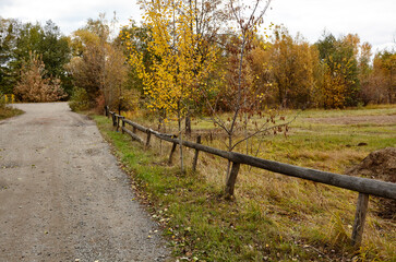 Wall Mural - Old wooden fence against a sky on a sunny day. Beautiful summer or autumn rural landscape