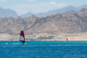 Wall Mural - People windsurfing in the Red Sea on sunny spring day. Dahab, Egypt.