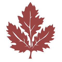 a stylized red maple leaf with multiple lobes and prominent veins.