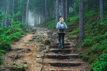 Wall Mural - woman in a blue jacket with backpack is walking on a forest trail with stone stairs, trees with lush