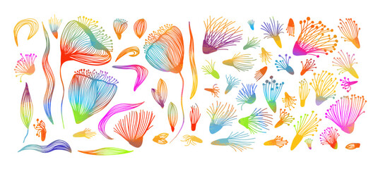 Wall Mural - Set of colorful flowers from lines. hand drawing. Not AI, Vector illustration