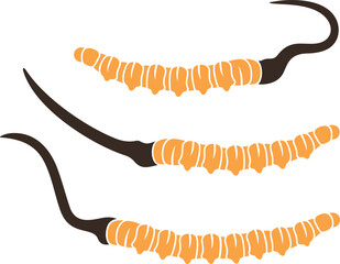 Wall Mural - Cordyceps  logo. Isolated cordyceps  on white background