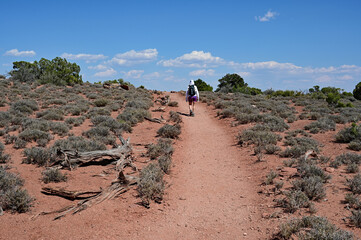 Wall Mural - Woman hiking on White Rim Overlook Trail in Canyonlands National Park, Utah on clear sunny summer afternoon.