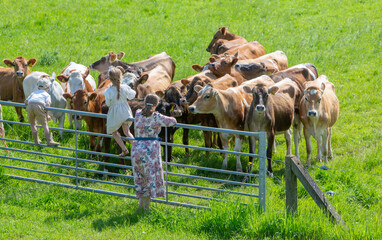 Canvas Print - children sit on gate and look at cows in green grassy meadow