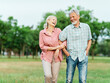 © Lumos sp - woman man outdoor senior couple retirement together walking love holding hands support old nature wife happiness mature elderly active