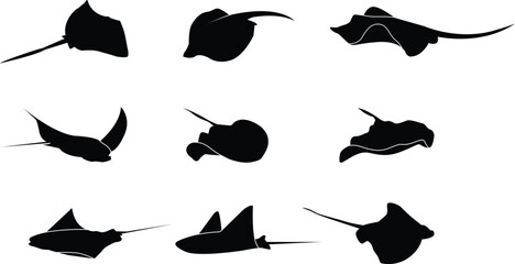 A collection of stingray silhouettes for artwork compositions