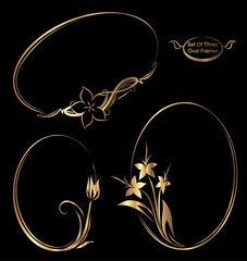 Fototapete - Three oval frames with flowers and vines. The frames are gold and black
