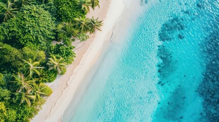 Canvas Print - aerial view of idyllic tropical beach with turquoise waters and palmfringed shore