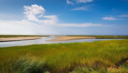 coastal marsh view along the atlantic ocean in lewes sussex country in southern delaware usa