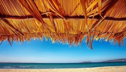 Wall Mural - palm tree canopy on the beach natural material sunshade cover yellow dry palm branches blue sunny sky