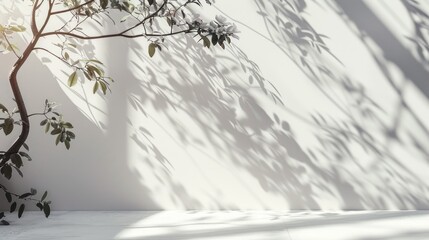 Sticker - Sunlit leaf and branch shadows on white wall and floor, spring background.