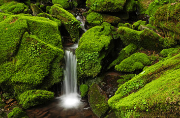 Long exposure and summer view of waterfalls on the rocks with green moss at the valley of Gariwangsan Mountain near Jeongseon-gun, South Korea
