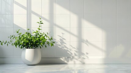 Wall Mural - Contemporary white kitchen with small ceramic tile wall, summer greenery bouquet in sunlight, shadow, copy space. Ideal for cosmetics, spa promotions, and design.