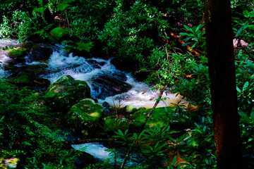 Anna Ruby Falls and smith creek in the state of Georgia, USA