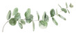 © Duka Mer - A long eucalyptus leaf branch watercolor clip art is isolated against a transparent background, capturing intricate details.