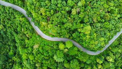 Aerial view of road in the middle of the forest , Top view road curve construction up to mountain, Rainforest ecosystem and healthy environment concept	