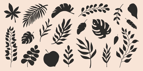 Poster - Set of black botanical silhouette elements on a beige background.  Vector illustration