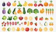 © Sheremeta - Colorful Illustration of Fresh Fruits and Vegetables