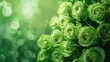 © Lasvu - Varied fresh green roses stacked vertically, blurred green rose background, nature-themed banner, with copy space