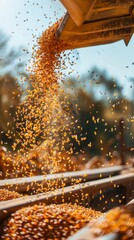 Poster - A grain of corn is falling from a machine