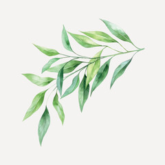 Canvas Print - Elegant watercolor green leaves illustration