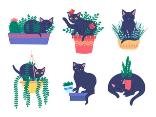 Poster - cartoon color characters cats in pots set concept flat design style. vector illustration of kitten p