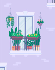 Wall Mural - Cartoon Color Plant Balcony Concept Flat Design Style. Vector illustration of House Facade Decorated with Plants Pots and Flowers