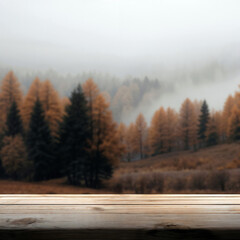 Poster - Empty wooden table presenting misty autumn forest landscape with pine trees and colorful foliage