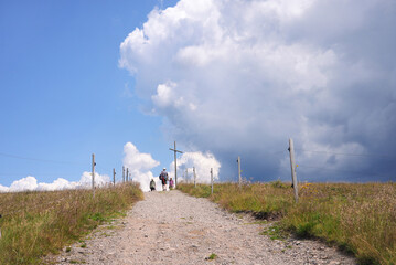 Wall Mural - Hiking to Summit cross Herzogenhorn in the region Bernau in Black Forest - Germany
