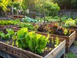 © Paulius - Growing Together: Nurturing Edible Vegetables in Community Garden Beds