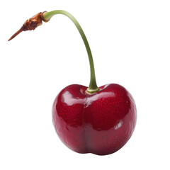 Wall Mural - A single, ripe cherry on transparent background
