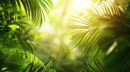 Sticker - Tropical Jungle Foliage with Palm Leaves in Sunlight - Nature Wallpaper and Travel Banner