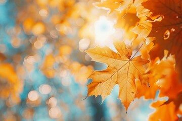 close up view of a maple leaf tree against blurred autumn scenery background, welcome autumn