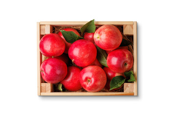 Canvas Print - Wooden box with fresh red apples