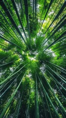 Serene Bamboo Forest: Upward View of Lush Green Canopy. Tranquil Meditation Sanctuary Amidst Nature's Embrace. Perfect Mindfulness Retreat After Rain, Celebrating World Environment Day. 4K Wallpaper f