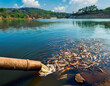 © sebi_2569 - Polluted water flowing from a pipe. Dead fish on the surface of the water due to pollution