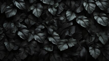 Wall Mural - Abstract black leaf textures for a tropical foliage backdrop. notion of a dark nature