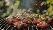 © Артур Комис - Large grill kebabs. Selective focus