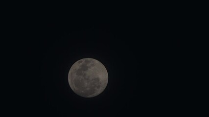 Wall Mural - nightly sky with large full moon