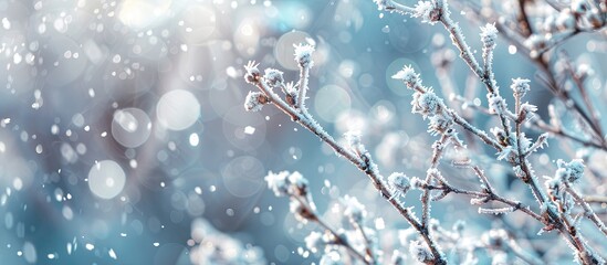 Leinwandbilder - Snow covered branches adorned with hoarfrost create a serene winter scene with gentle snowflakes falling on a blurred background perfect as a winter themed copy space image